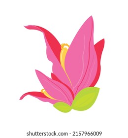 Vector illustration of tropical flower on white background	