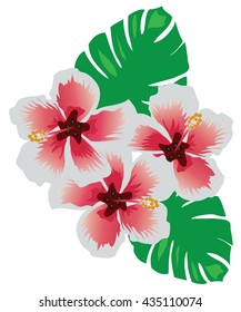 vector illustration of tropical flowers