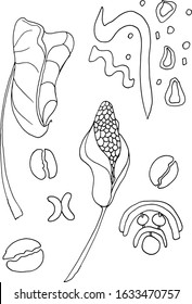 Vector illustration of tropical flowers, tropical leaves, abstractions, details on an isolated background for printing on paper, designers' blanks, coloring books, postcards