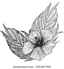 Vector illustration of tropical flowers and leaves. Clipart of hibiscus, palm leaf, ink sketch with no background. Isolated elements for the design of cards, packaging, tattoos, logos