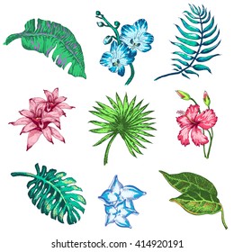 Vector Illustration of tropical Flowers and Palm in Sketch Style for Design, Website, Background, Banner. Doodle Summer Plant Element Template in color. Beach Botany