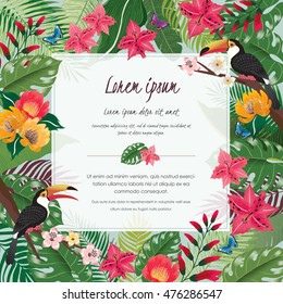 Vector illustration of tropical flowers in summer with birds and butterflies for wedding invitations and birthday cards and background.