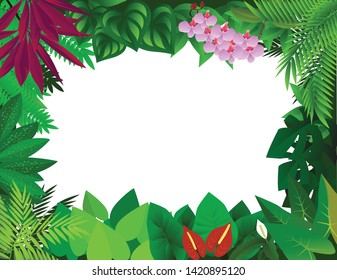 Vector illustration of tropical forest background