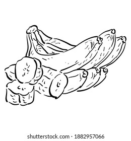 Vector illustration with tropical fruit banana, banana slices