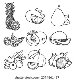 Vector illustration of tropical fruit hand drawn sketch, fruit line art, Containing Pineapple, Lemon, Pear, Raspberry, Plum, Papaya, Cranberry, Guava, and Dragon Fruit isolated on white background