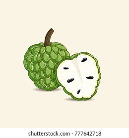 vector illustration of tropical fruit known as custard apple 