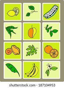 Vector Illustration Tropical Fruit Leaf Set