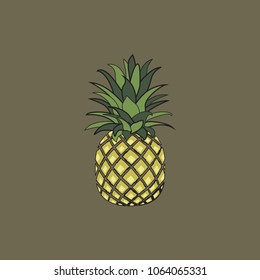 Vector illustration of tropical fruit pineapple. Fruit symbol
