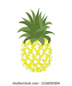 Vector illustration of tropical fruit pineapple. Fruit symbol