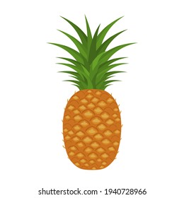 Vector illustration of tropical fruit pineapple.