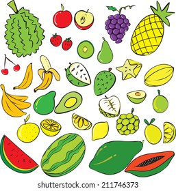 Vector illustration of tropical fruits doodle isolated on white