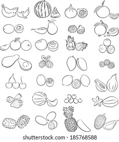 vector illustration of a tropical fruits in line art