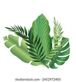 vector illustration Tropical green leaves on transparent background PNG