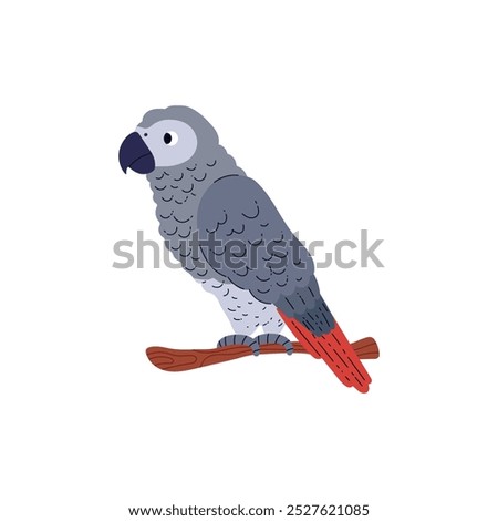Vector illustration with a tropical grey parrot sitting on a branch, isolated on a white background. An exotic cute bird with a long red tail and a big beak