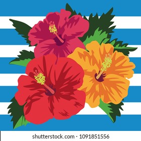 Vector illustration of tropical hibiscus flowers with leaves - blue border background