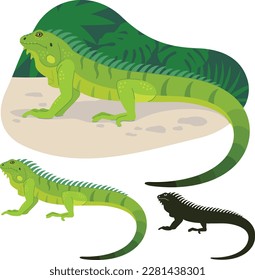 Ilustración vectorial de un lagarto de iguana tropical sobre un fondo de hojas tropicales y una silueta aislada sobre un fondo blanco