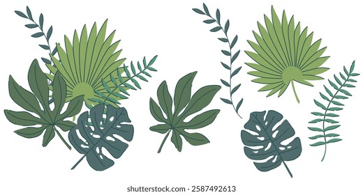 Vector illustration of tropical jungle leaves, featuring monstera, palm, and fern foliage. A botanical themed set with elegant green tones, perfect for invitations, decor, digital art, and patterns