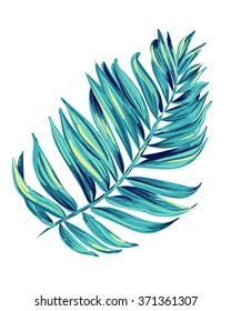 vector illustration of a tropical leaf. Artistic brush stokes create a layered botanical illustration of a palm. single isolated element for decoration, fashion. Nature, tree, aloha colors.