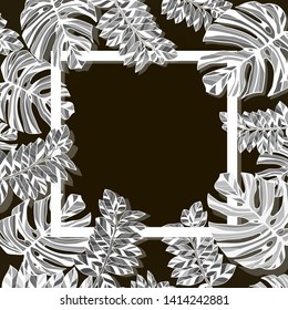 Vector illustration of a tropical leaf and monster leaf with a square in the middle