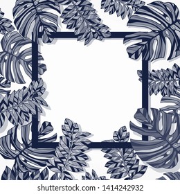 Vector illustration of a tropical leaf and monster leaf with a square in the middle