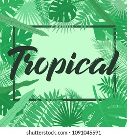 Vector illustration of a tropical leaf on a light green background with an inscription in a rectangle. Tropical illustration. 