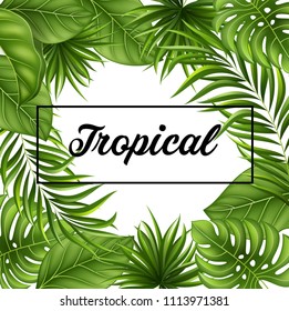 Vector Illustration Tropical Leaves Background With Jungle Plants