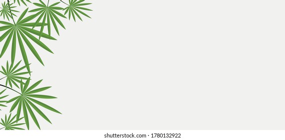 Vector illustration tropical leaves background,use for banner, business cards.Exotic design,summer background.