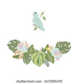 Vector illustration of tropical leaves and budgerigar isolated on white background. Doodle of palm leaves, pet plants and a budgie pet for printing on packaging. postcards, designers. clothes,