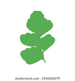 Vector Illustration. Tropical leaves. Cartoon  plants and flowers. leaf isolated on white background. Floral element vector set Nature leaves.