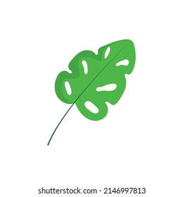 vector illustration tropical leaves doodle