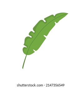 vector illustration tropical leaves doodle