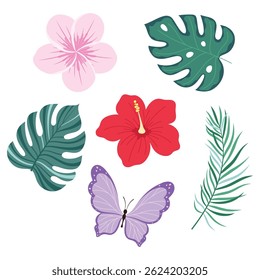 vector illustration with tropical leaves and flowers in flat style. Palm leaf, hibiscus, plumeria flowers, monstera and butterfly, botanical, floral illustration