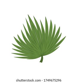 Vector illustration of tropical leaves with green. Element of summer theme. Vector editable eps 10