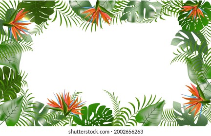 vector illustration of tropical leaves and sterlitzia flowers. Green, orange, red exotic plants  frame