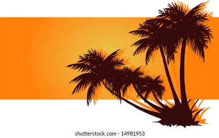 Vector illustration. Tropical logo with palms.