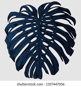 Vector illustration with tropical monstera leaves exotic jungle