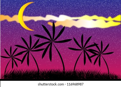 Vector illustration of a tropical night and palm trees