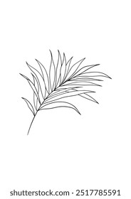 Vektorgrafik von tropischen Palmblättern