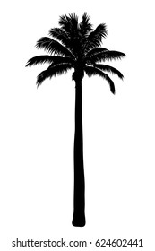 vector illustration of tropical palm silhouette. EPS