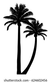 vector illustration of tropical palm silhouette. EPS