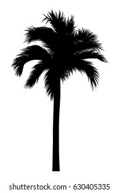 vector illustration of tropical palm silhouette. EPS