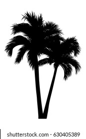 vector illustration of tropical palm silhouette. EPS