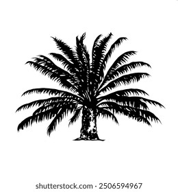 Vector illustration of a tropical palm tree, single element. Line drawing, doodle style. Hand drawn realistic illustration of an exotic tree for design and decoration. Tropics, sea, beach holiday.