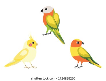Ilustración vectorial de la colección de loros tropicales en el fondo blanco.