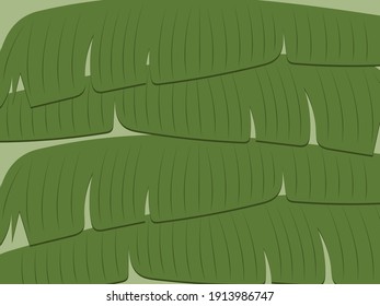 ilustración vectorial patrón tropical con hojas de banano.