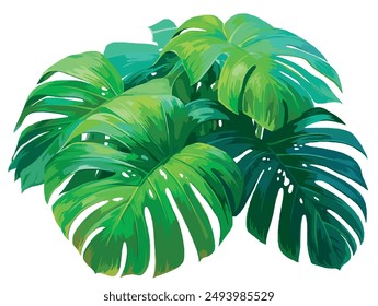 Vector illustration of tropical plant leaves, jungle leaves on white background 