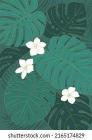 Vector illustration of tropical plants.