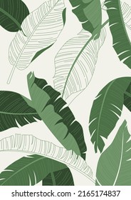 Vector illustration of tropical plants.