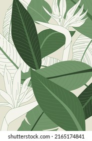 Ilustración vectorial de plantas tropicales.