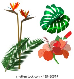 Vector Illustration Tropical Plants Stock Vector (Royalty Free ...